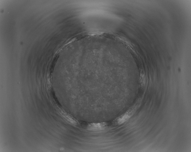 X0000067900381200605041624