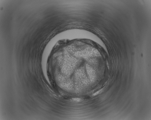 X0000067900382200605041624