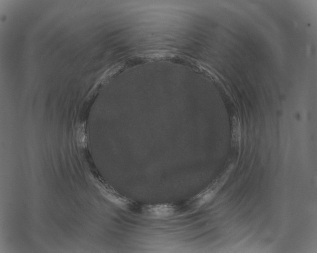 X0000067900383200605041624