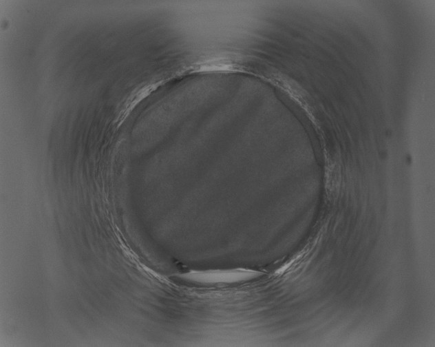 X0000067900385200605041623