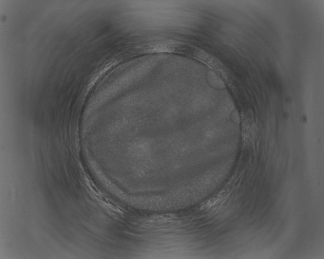 X0000067900386200605041623