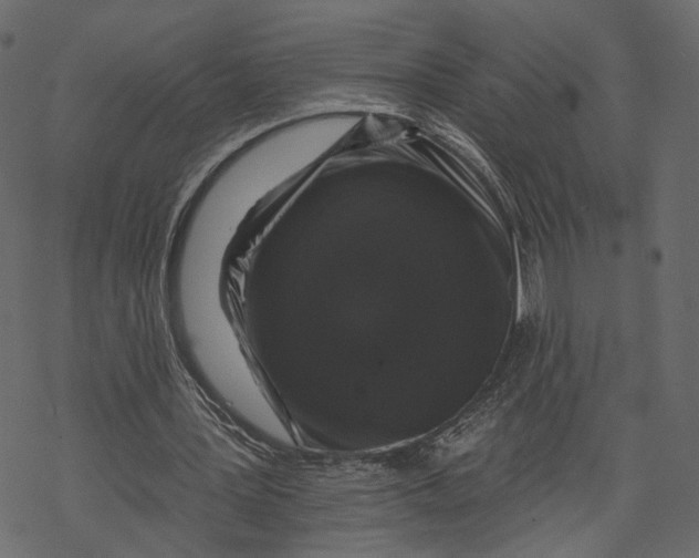 X0000067900387200605041623