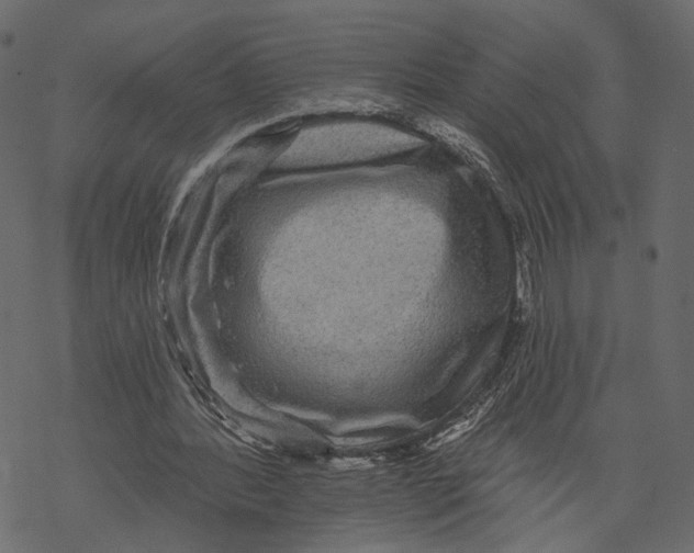 X0000067900388200605041623