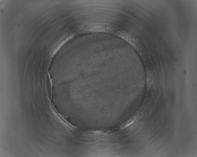 X0000067900390200605041623