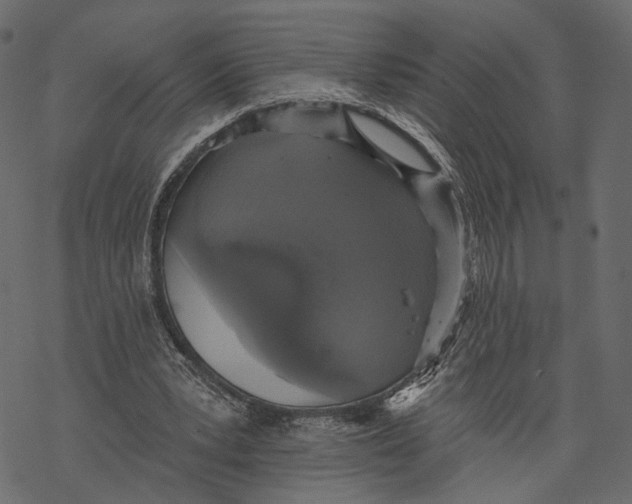 X0000067900391200605041623