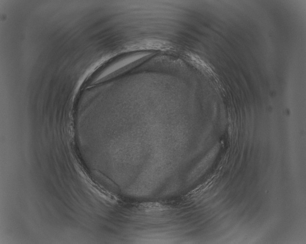 X0000067900392200605041623