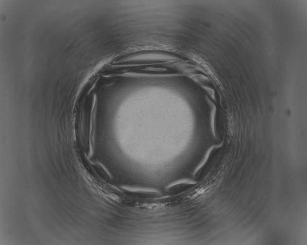 X0000067900395200605041623