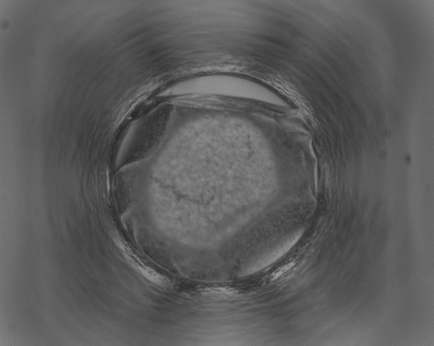 X0000067900397200605041623