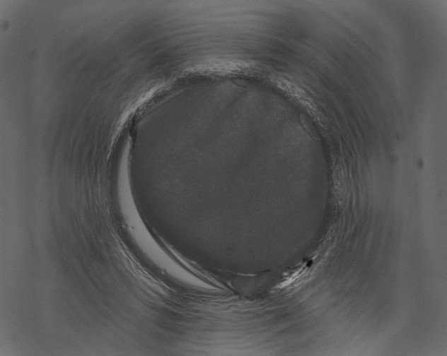 X0000067900399200605041623