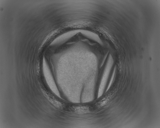 X0000067900400200605041623