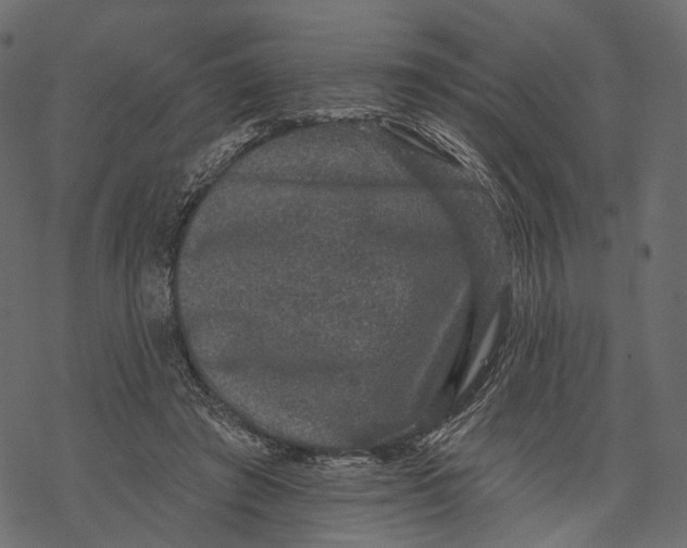 X0000067900401200605041623