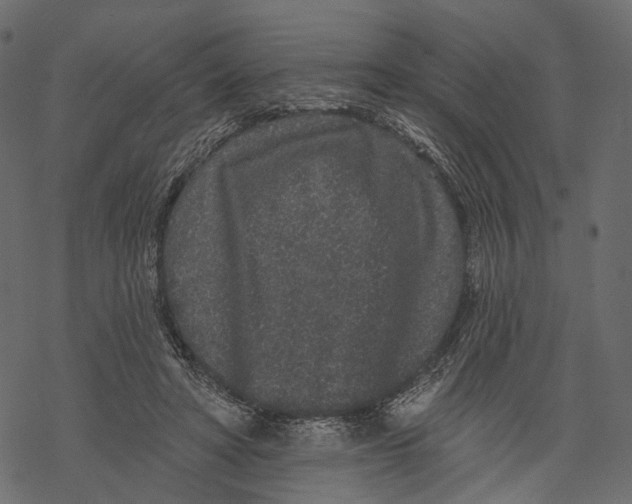 X0000067900402200605041623