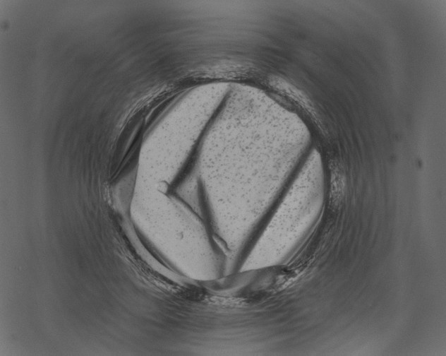 X0000067900403200605041623