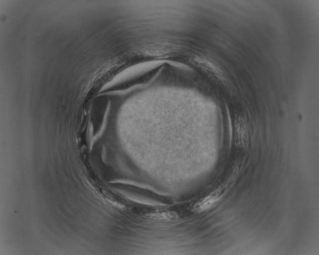 X0000067900404200605041623