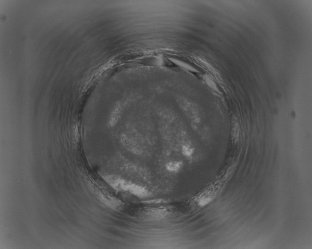 X0000067900405200605041623