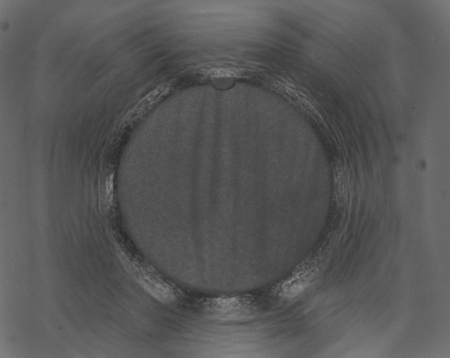 X0000067900406200605041623