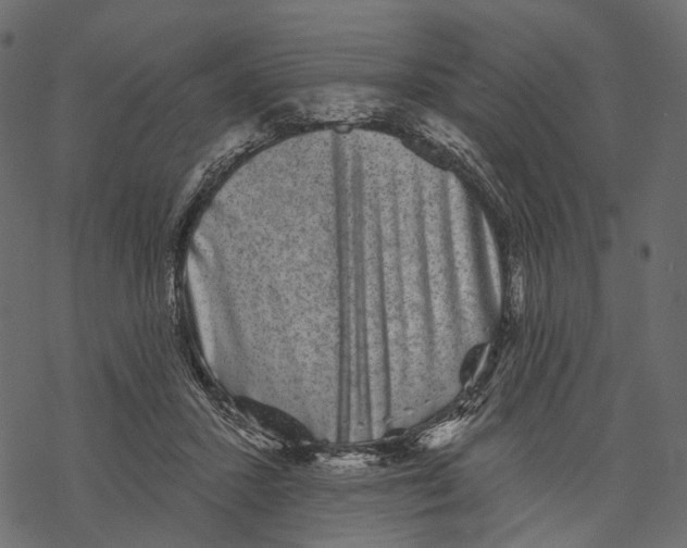 X0000067900407200605041623