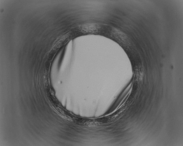 X0000067900408200605041623