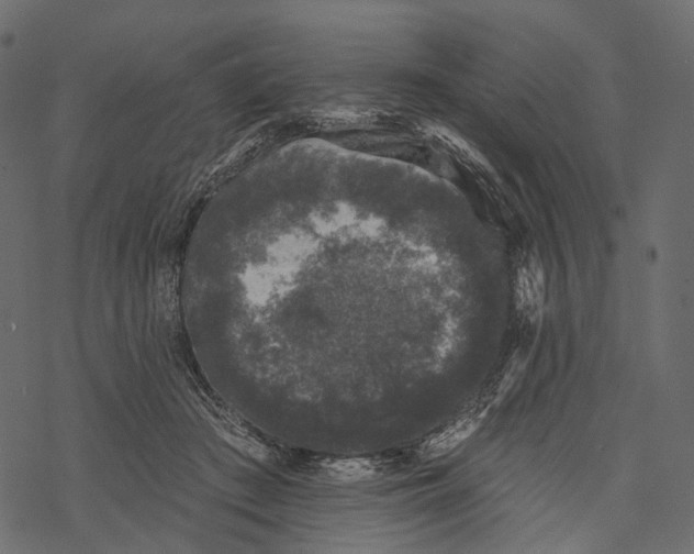 X0000067900409200605041623