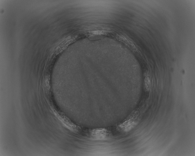 X0000067900410200605041623