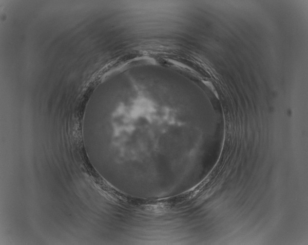 X0000067900411200605041623