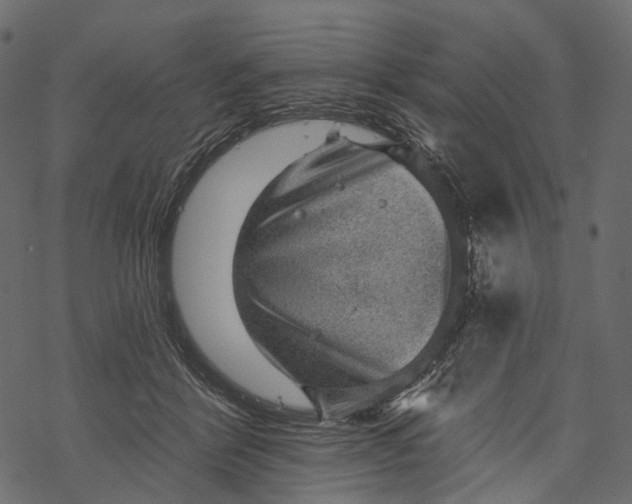 X0000067900412200605041623