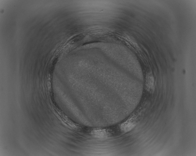 X0000067900413200605041623