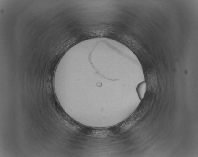 X0000067900414200605041623