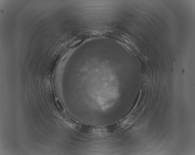 X0000067900415200605041623