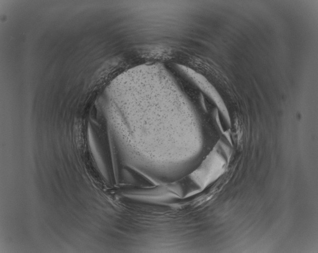 X0000067900416200605041623