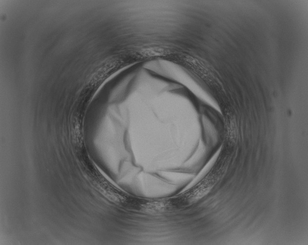 X0000067900418200605041623