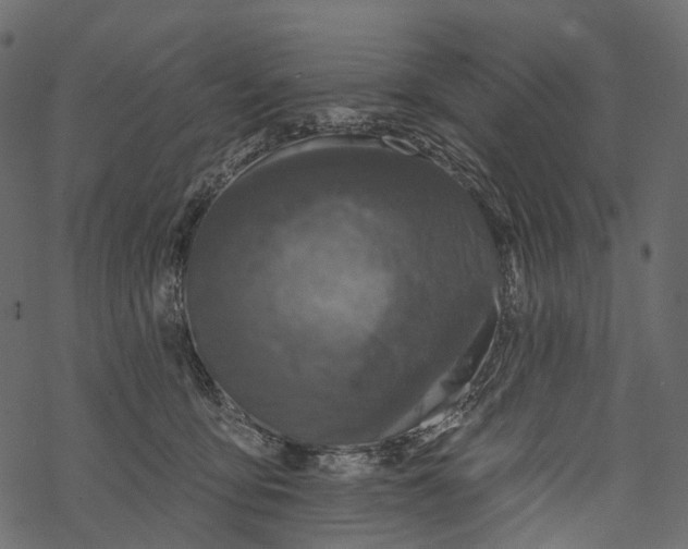 X0000067900419200605041623