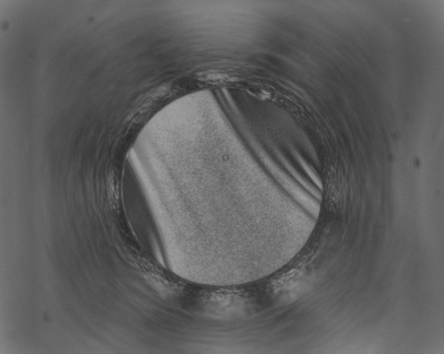 X0000067900420200605041623