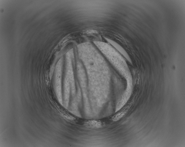 X0000067900421200605041623