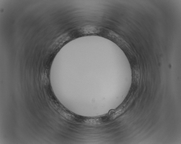 X0000067900422200605041623