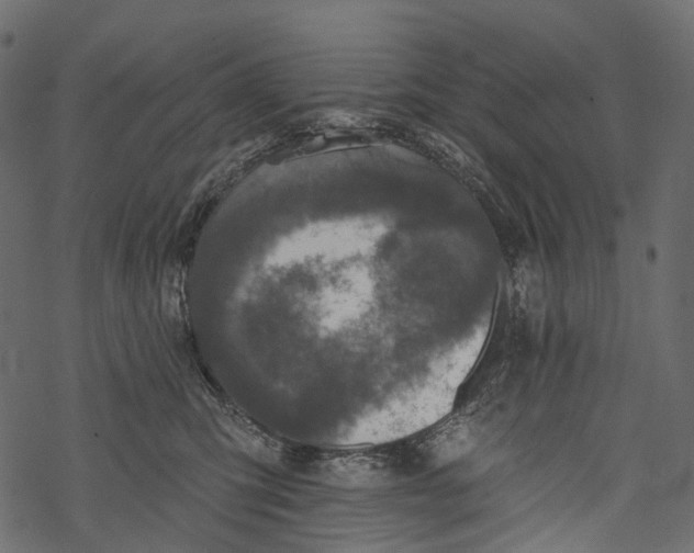 X0000067900423200605041623