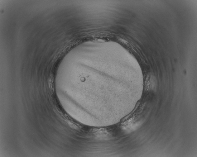 X0000067900424200605041623