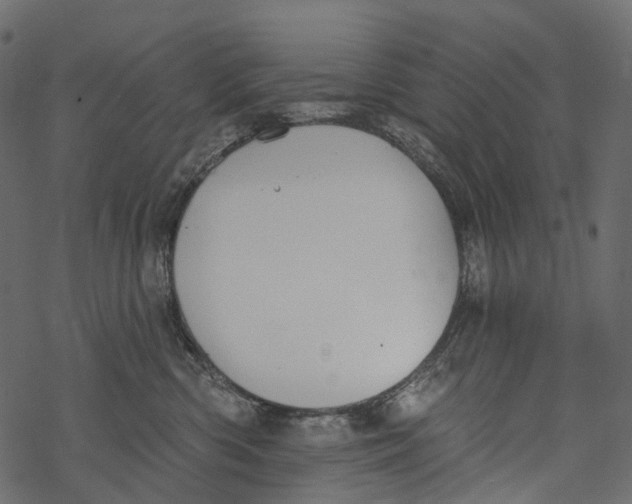 X0000067900426200605041623