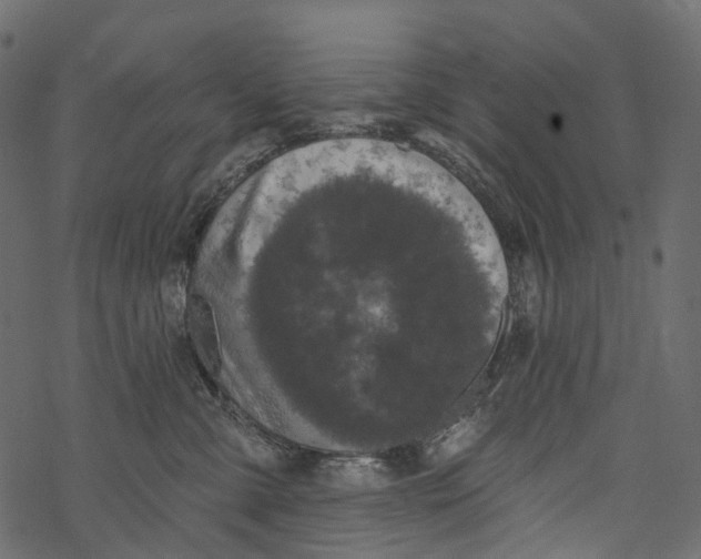 X0000067900427200605041623