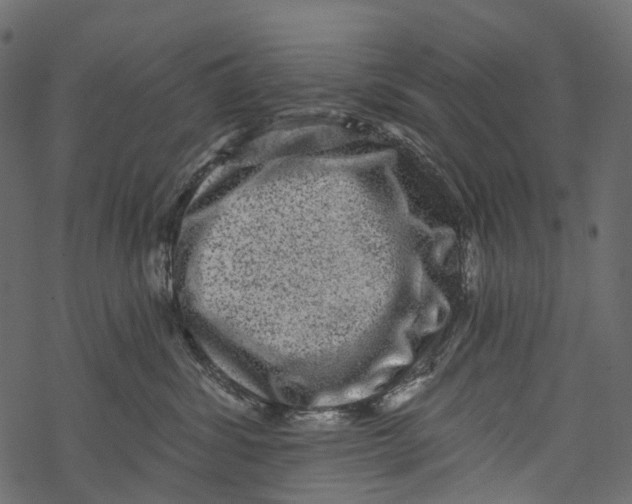 X0000067900428200605041623