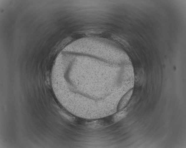 X0000067900430200605041622