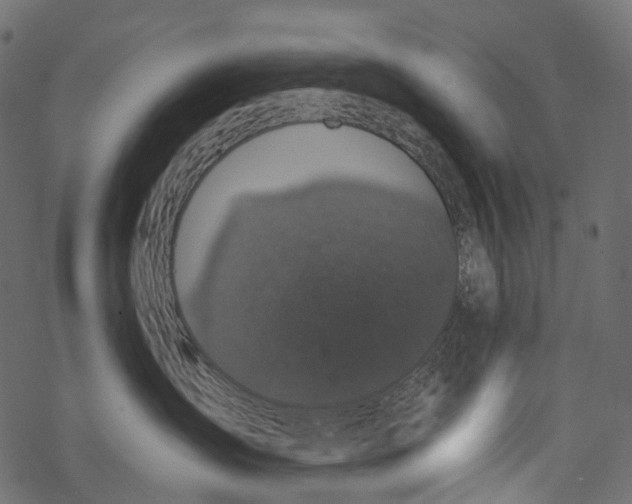 X0000067900431200605041622