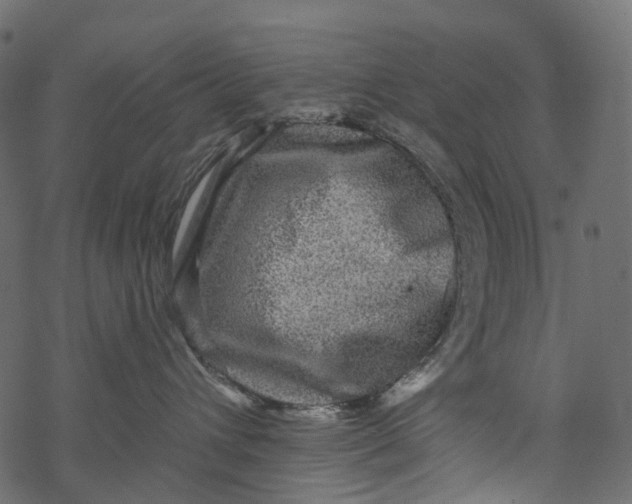 X0000067900432200605041622