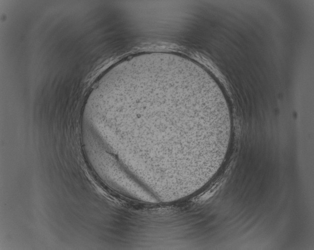 X0000067900433200605041622