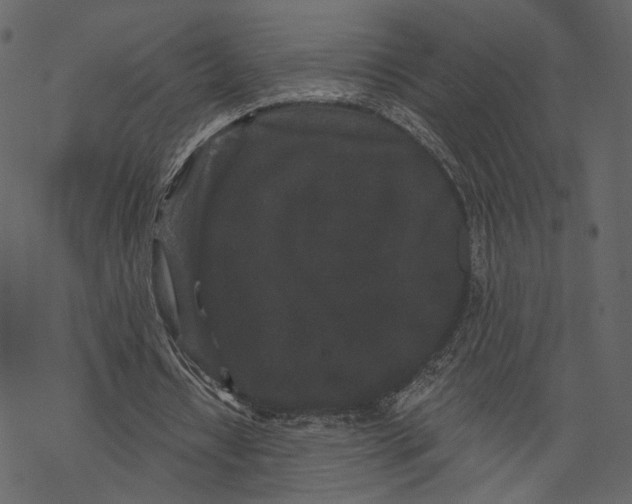 X0000067900434200605041622