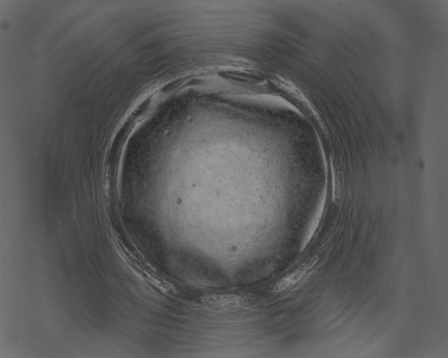 X0000067900435200605041622