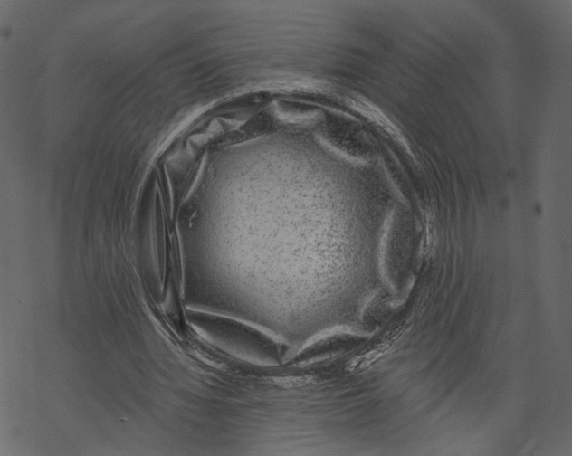 X0000067900436200605041622