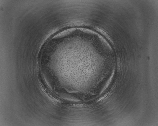 X0000067900439200605041622