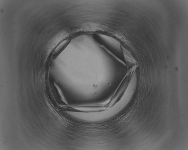 X0000067900440200605041622