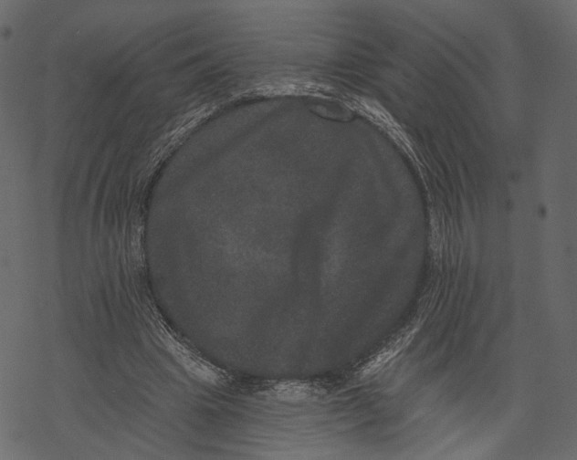 X0000067900441200605041622